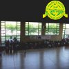 festaprimav2012_14